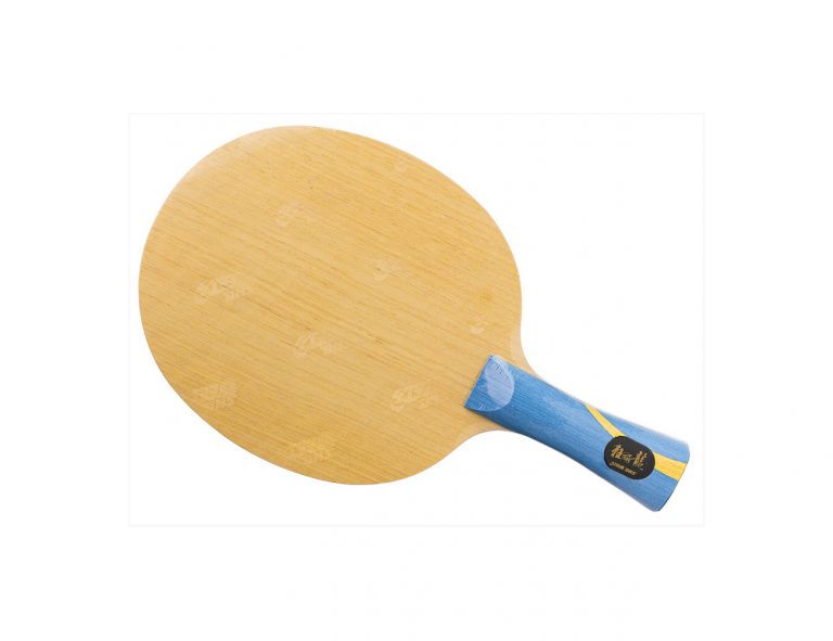 DHS Table Tennis Equipment Official UK Distributor