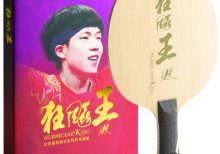 Hurricane Wang Chuqin